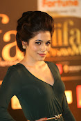 Gazal Somaiah at IIFA Utsavam 2016-thumbnail-9