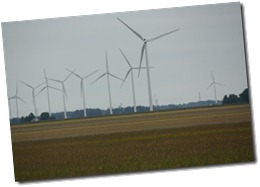 IMG_4571
