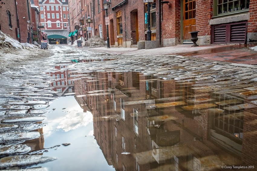 Portland, Maine March 2015 Puddle on Wharf Street cobblestones photo by Corey Templeton