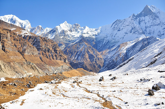 Annapurna Base Camp Trekking in Winter