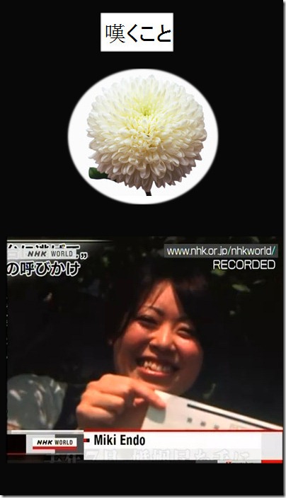 miki endo tribute
