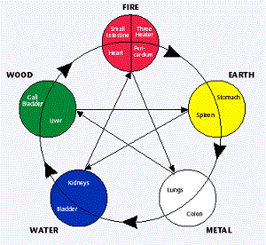 Five Element Theory