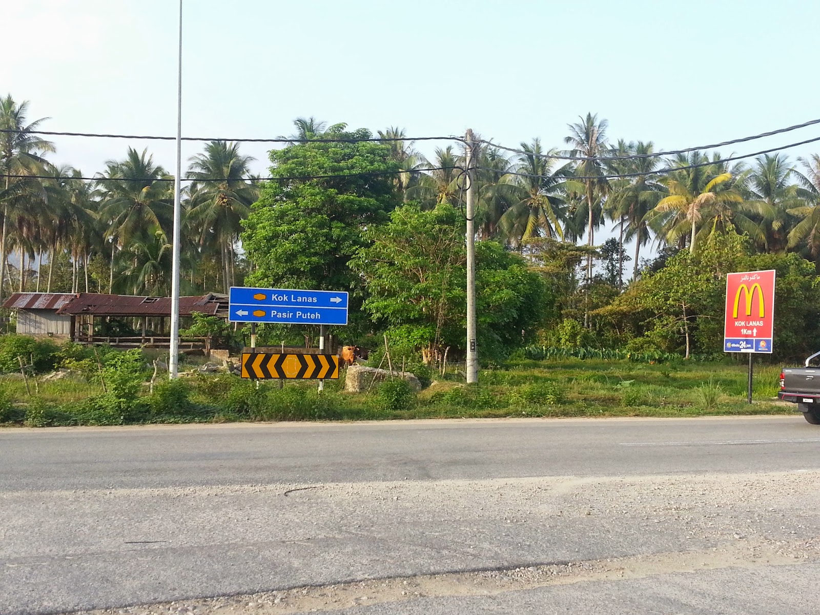 LagunaMerbok Kayuhkayuh Sekitar Kok Lanas