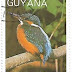 1988 - Guiana - Alcedo atthis