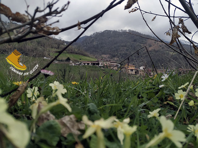 VISTA DE PEDROVEYA CAMINO DE DOSANGO