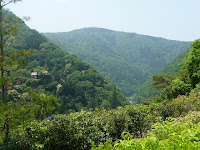 裏手からは大悲閣、保津峡がみえる