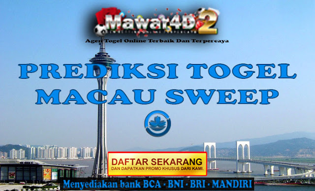 mawar4d2