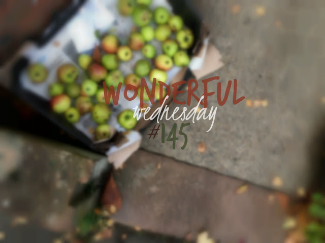 Wonderful Wednesday #145