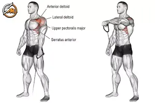 10 Best Exercises For Boulder Shoulders