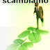 Scambio recensioni positive