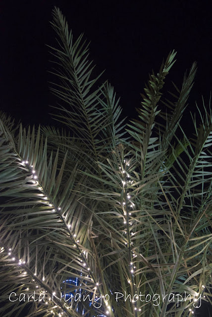 dubai by night