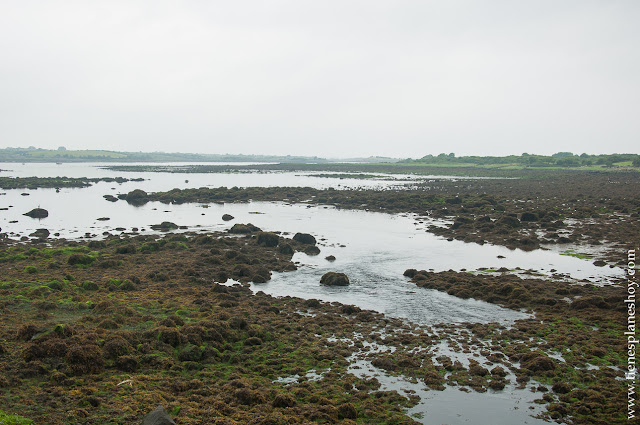 Dunguaire Castle Irlanda Condado Galway