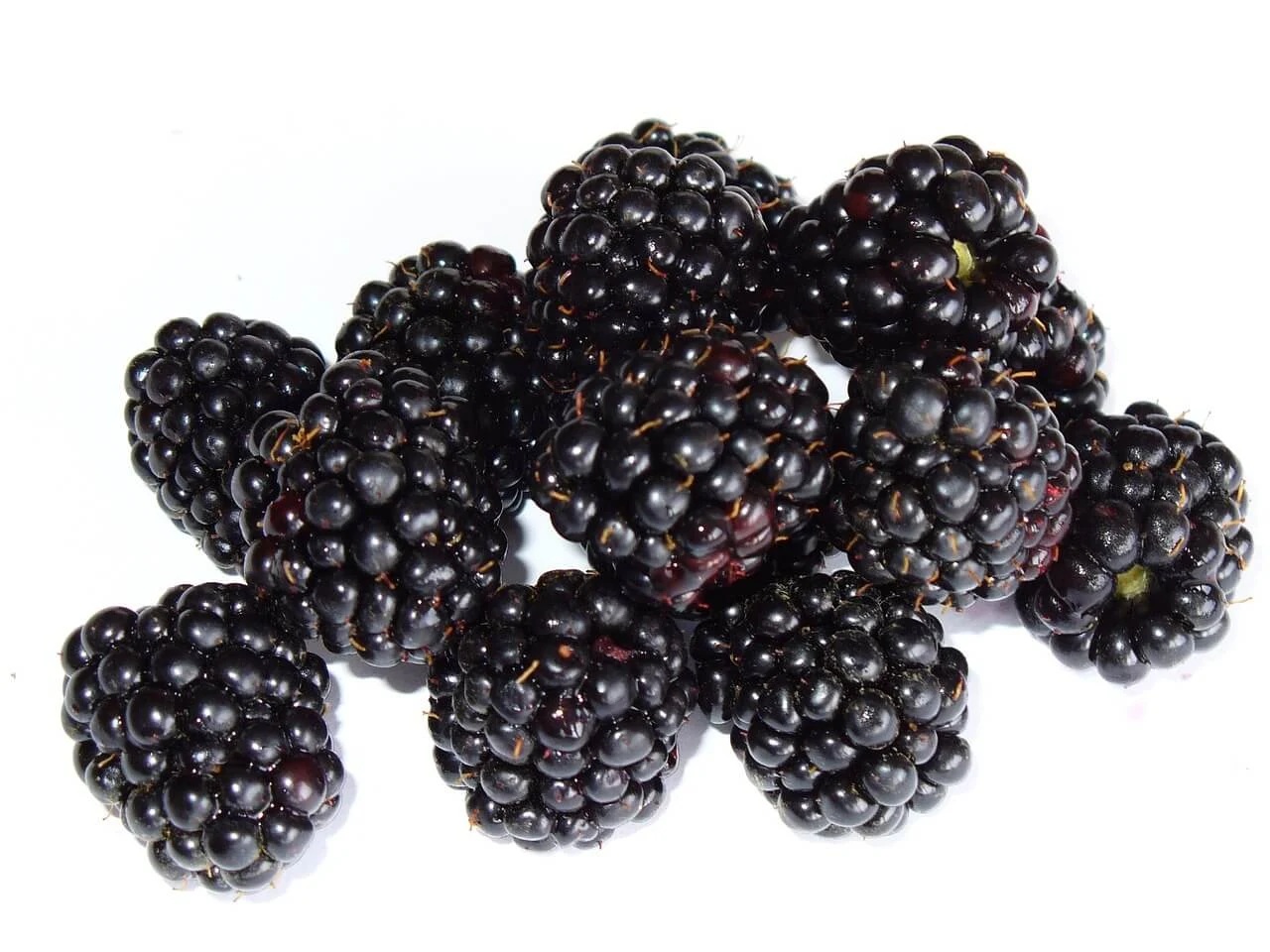 Boost Your Health: Discover Blackberry's Benefits