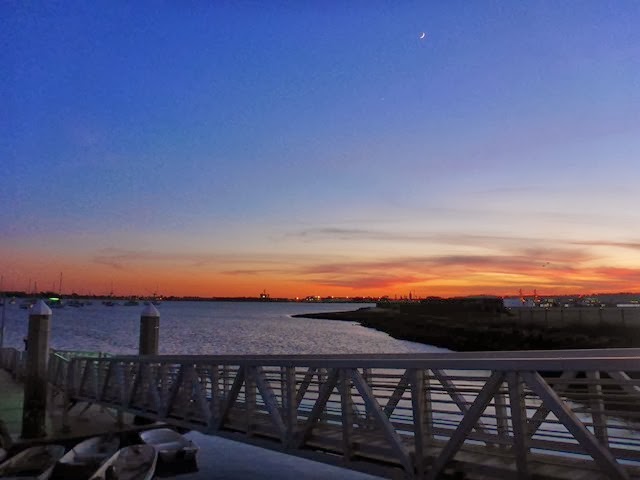 P1010354