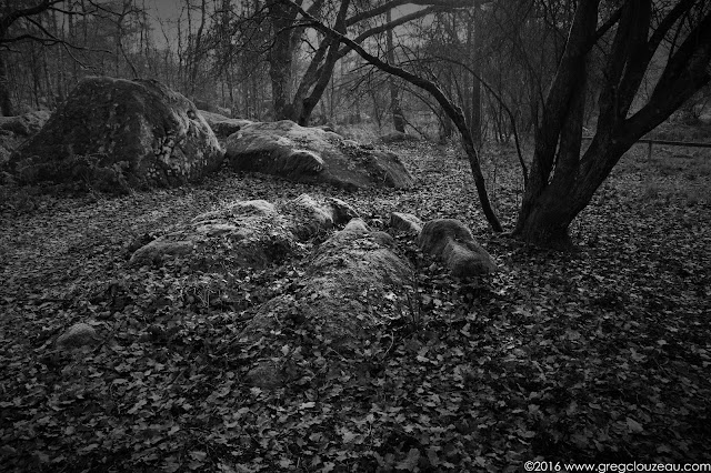 Forêt de Fontainebleau, Gorges d'Apremont, Barbizon