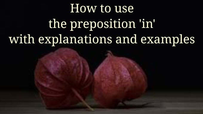 How to use the preposition 'in' with explanations and examples : 4