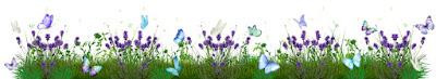 Summer Banner  ©BionicBasil® 2023