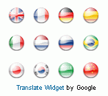 google translate widget