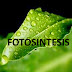 Fotosintesis (lengkap)