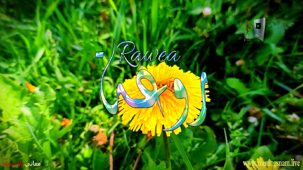 معنى اسم ,روعة, وصفات, حاملة, هذا الاسم, Rawea,