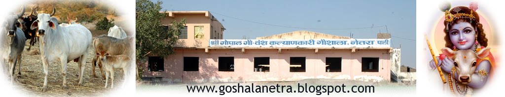 goshalanetra.blogspot.com