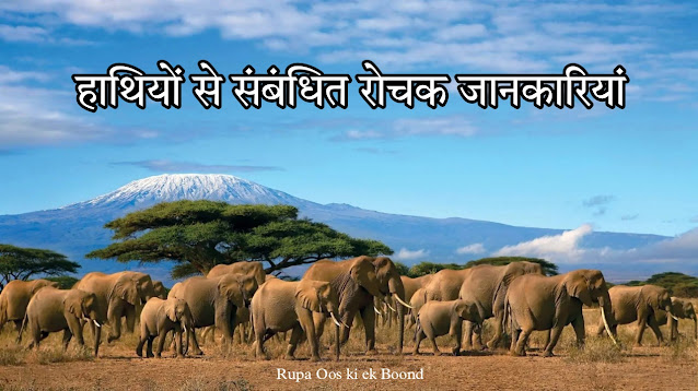 20 रोचक जानकारीयां हाथी के बारे में || 20 Interesting facts about Elephant ||