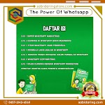 The Power Of Whatsapp
