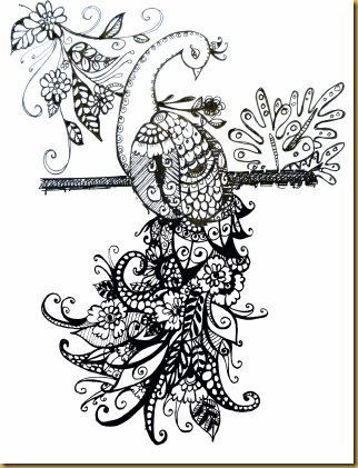 peacock22