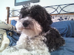 Finnegan