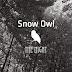 스노우아울 (Snow Owl) – 그 밤