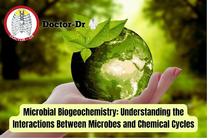 Microbial Biogeochemistry: Understanding the Interactions Between Microbes and Chemical Cycles