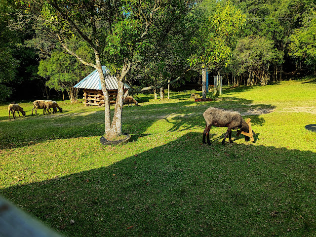 pontos turísticos de Arvorezinha, RS