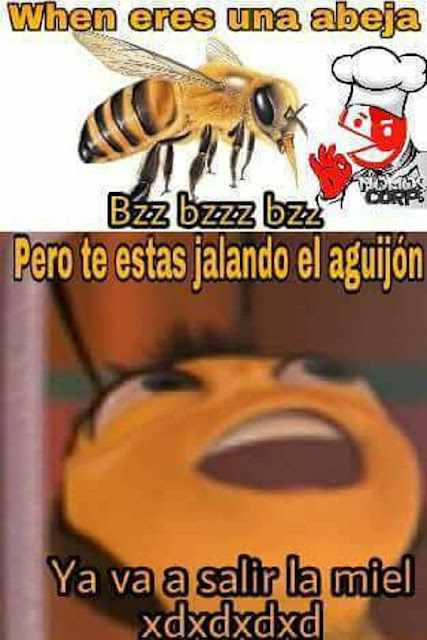 Mientras tanto, una abeja