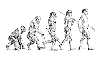Teori evolusi