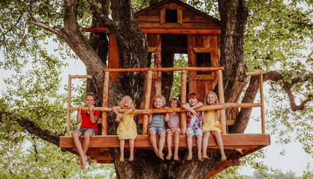5 Tips for Building a Treehouse in Your Backyard