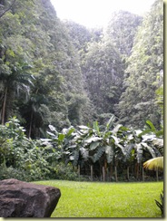 pinardelrio 090