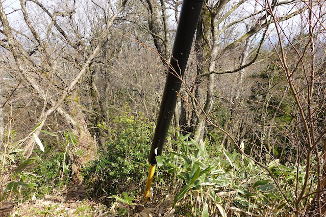 鳥取県西伯郡大山町鈑戸　鈑戸山（たたらどやま）山頂の眺望