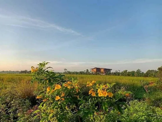 foto rumah kayu mewah