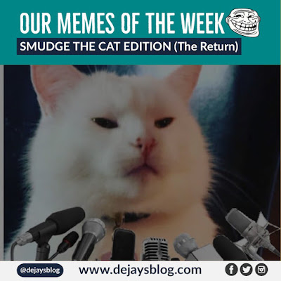 OUR MEMES OF THE WEEK #46: SMUDGE THE CAT EDITION (THE RETURN)