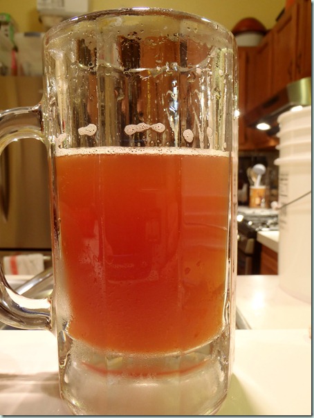 beer 07 (6b)