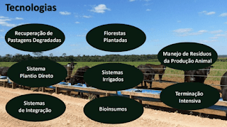 Reduzir emissão de carbono em mais de 1 bilhão de toneladas é a meta do Plano ABC+