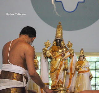 Thirumanjanam,Ekkattuthangal,Vaibhavam,Dharisanam, Sri PArthasarathy Perumal, Perumal, Venkata Krishna , Varushotsavam, 2018, Video, Divya Prabhandam,Triplicane,Thiruvallikeni,Utsavam,