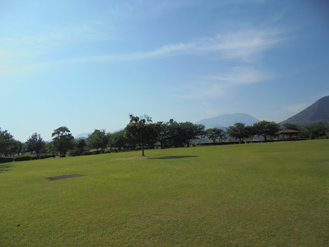 仁王堂公園の芝生け広場