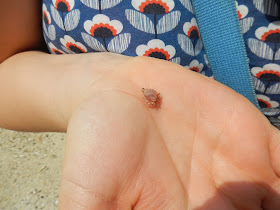 Tiny hermit crab on a woman's palm