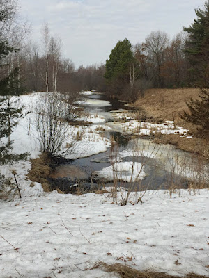 pond north of the house, early March 2021