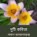 দুটি কবিতা /পলাশ বন্দ্যোপাধ্যায়