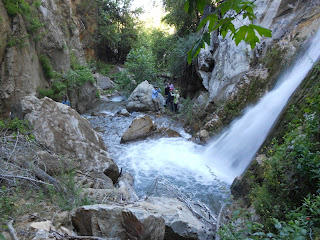 Lewis Falls