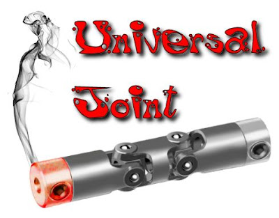 A universal joint