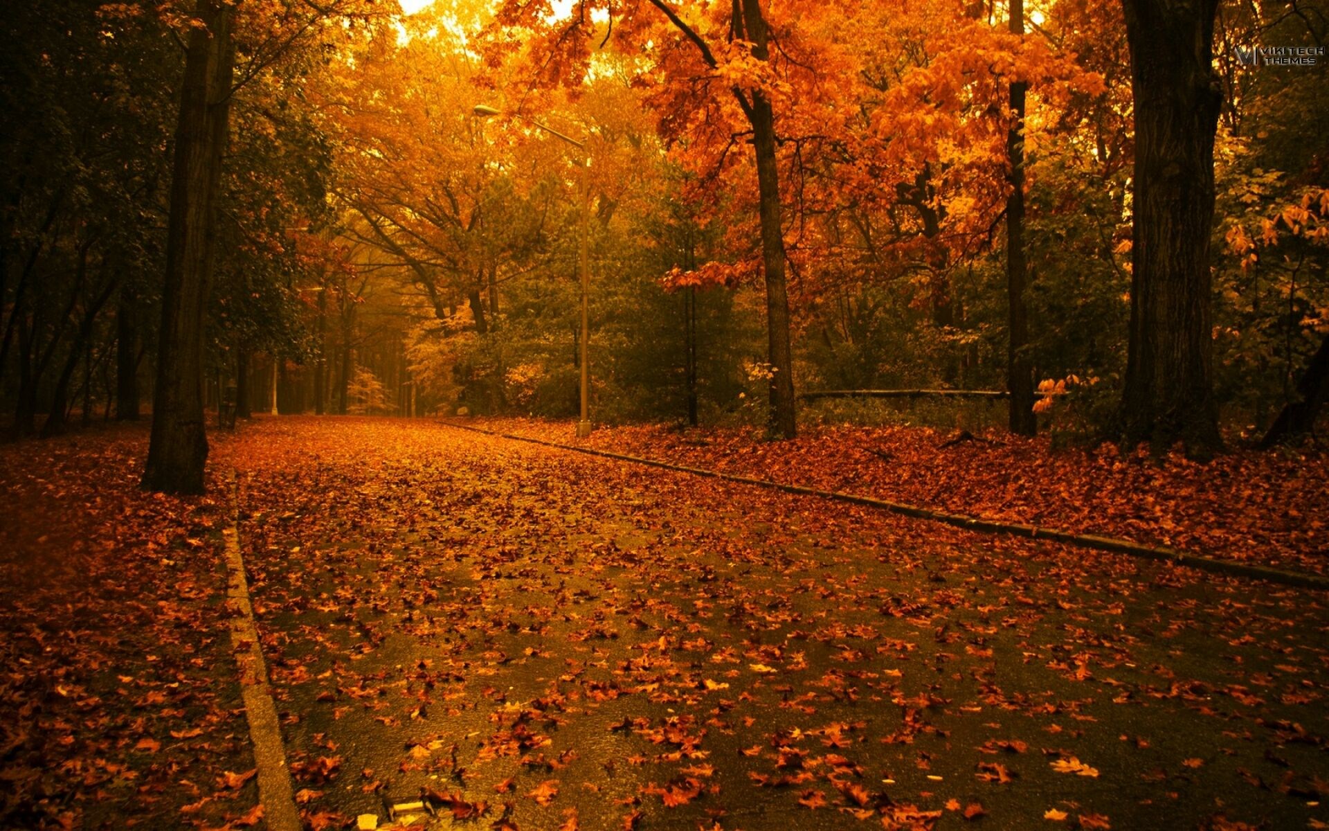 Autumn Wallpaper