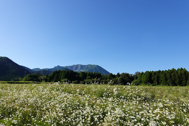 鳥取県道314号赤松大山線　種原付近からの眺望